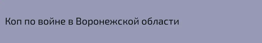Коп по войне в Воронежской области 